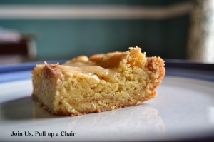 72278-snickerdoodlebars