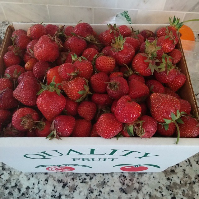 11393022_10206925109356104_6422620984987126721_n