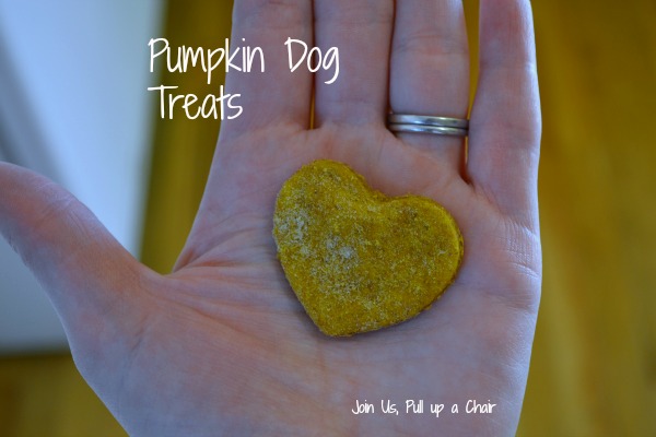 Pumpkin Dog Treats | Join Us, Pull up a Chair