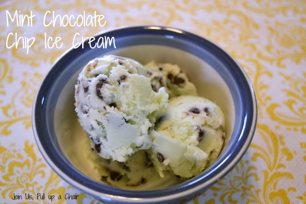 Mint Chocolate Chip Ice Cream | Join Us, Pull up a Chair